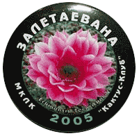 Значок фестиваля