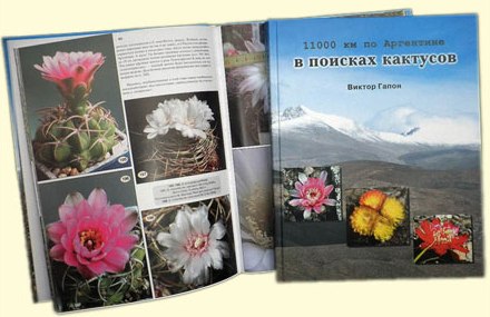 11000 км по Аргентине в поисках кактусов