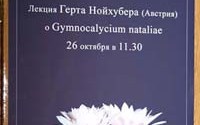 Однако пора переходить к программе “Залетаеваны”.